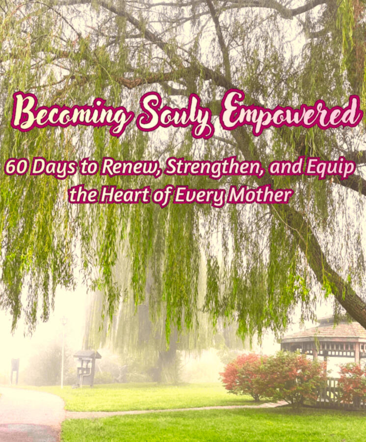 Becoming Souly Empowered is a 60-day devotional for mothers in every season—new moms, busy moms, overwhelmed moms, and empty nesters seeking renewal. This faith-based guide offers daily scripture reflections, practical encouragement, prayers, and journalin Becoming Souly Empowered is a 60-day devotional for mothers in every season—new moms, busy moms, overwhelmed moms, and empty nesters seeking renewal. This faith-based guide offers daily scripture reflections, practical encouragement, prayers, and journalin